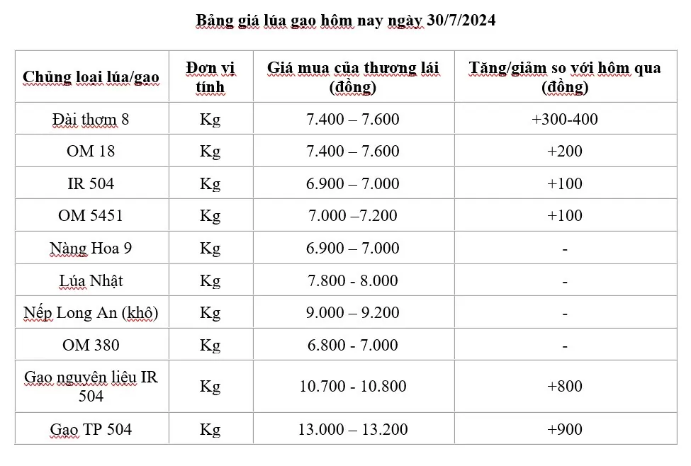 Giá lúa gạo hôm nay ngày 30/7: Giá gạo bật tăng trở lại; giá lúa tăng 100-400 đồng/kg