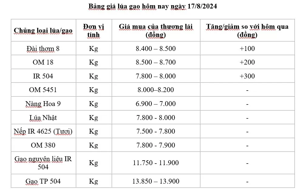 Giá lúa gạo hô17/8/2024: Giá lúa tăng 100 -300 đồng, gạo neo ở mức cao