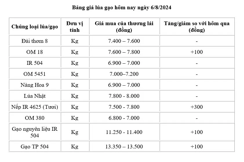 Giá lúa gạo hôm nay ngày 6/8/2024: Giá gạo tăng 100 đồng/kg, giá lúa tăng nhẹ