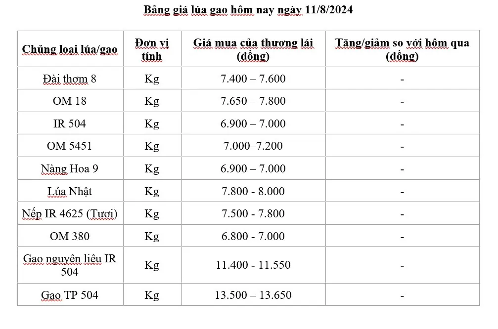 Giá lúa gạo ngày 11/8/2024: Giá lúa neo cao, giá gạo xuất khẩu ở mức cao