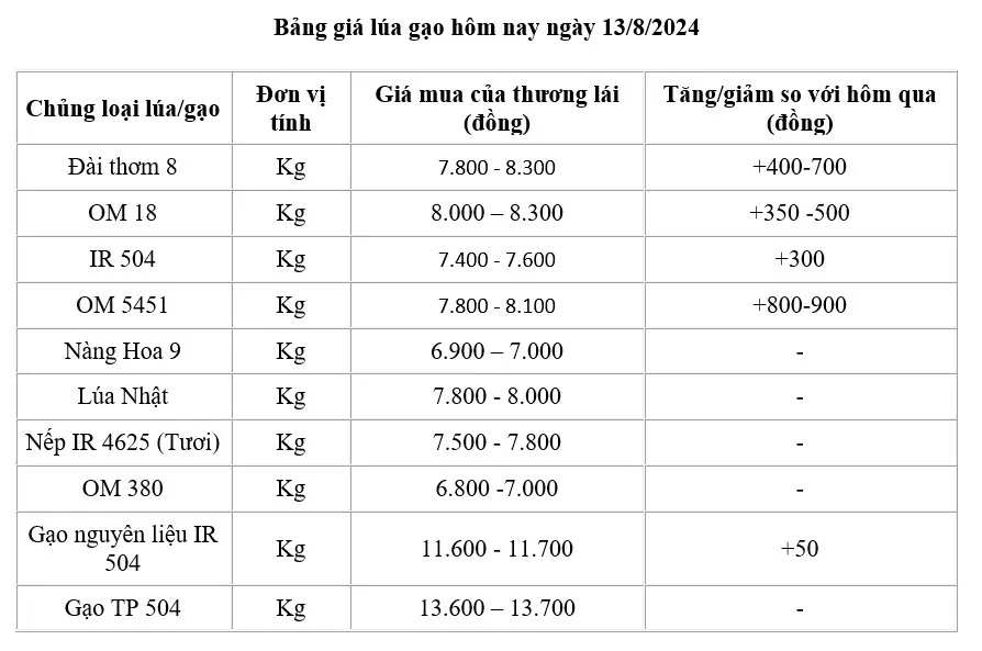 Giá lúa gạo ngày 13/8/2024: Giá lúa tăng từ 300 - 900 đồng/kg, giá gạo xuất khẩu neo cao