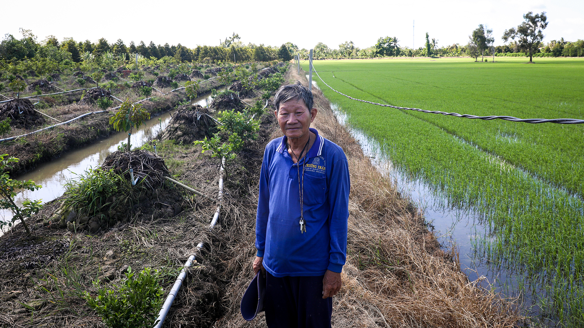 Nông dân miền Tây 'hụt hơi' sau cuộc đua năng suất