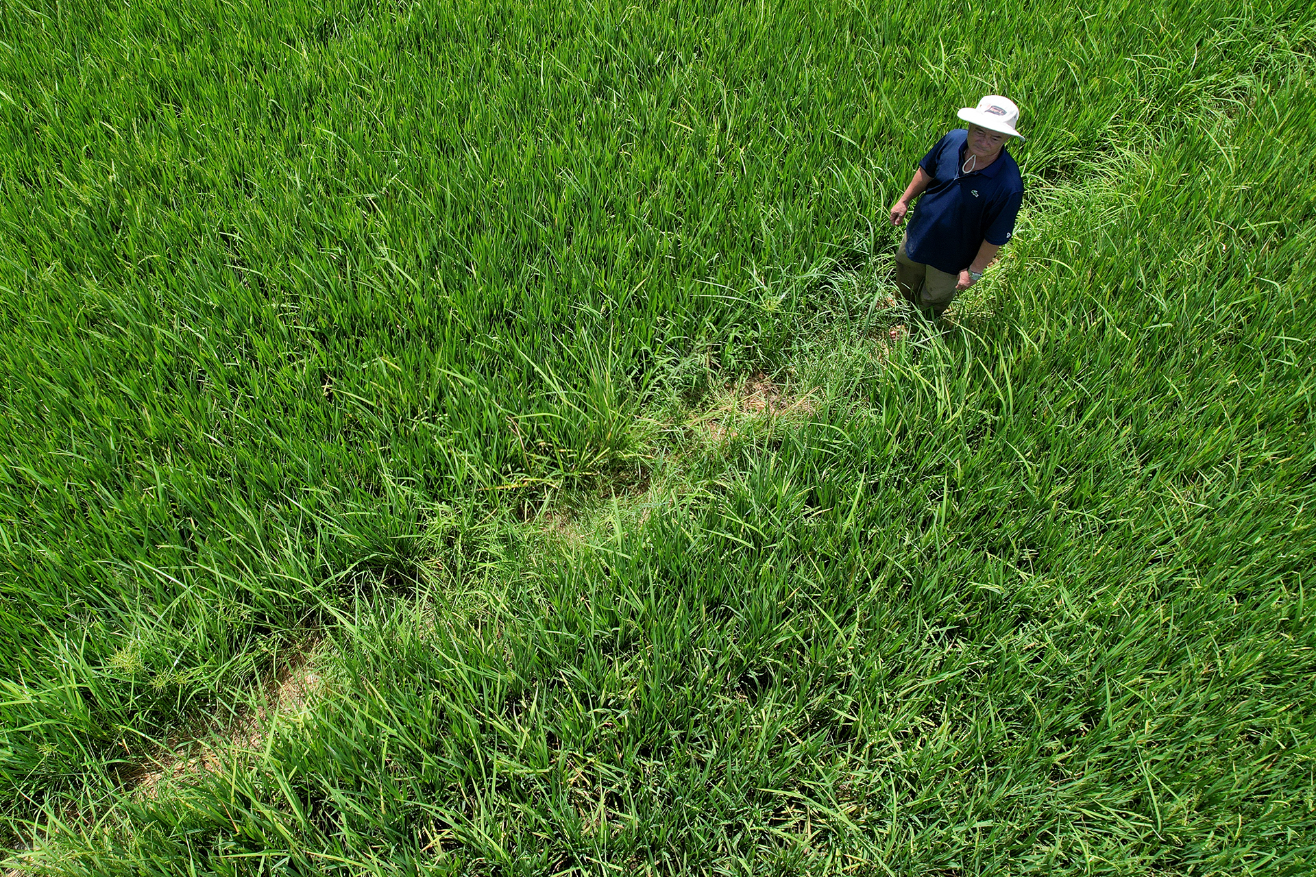 Nông dân miền Tây 'hụt hơi' sau cuộc đua năng suất