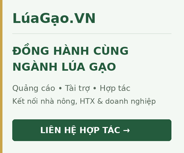 LúaGạo.VN – Đồng hành cùng ngành lúa gạo. Liên hệ hợp tác quảng cáo và tài trợ.