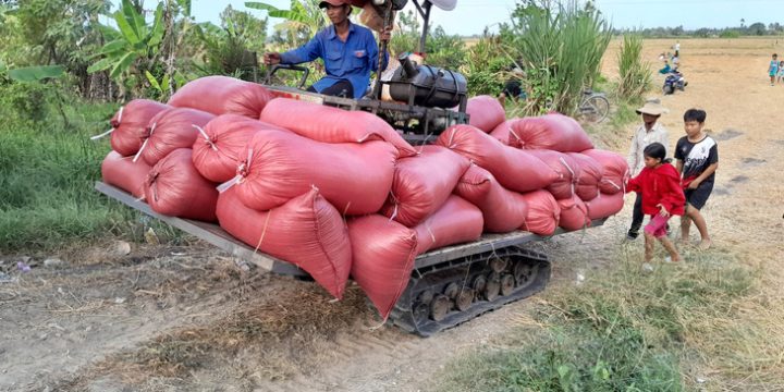 Đôn đốc Tập đoàn Lộc Trời trả nợ, lãi tiền mua lúa cho nông dân