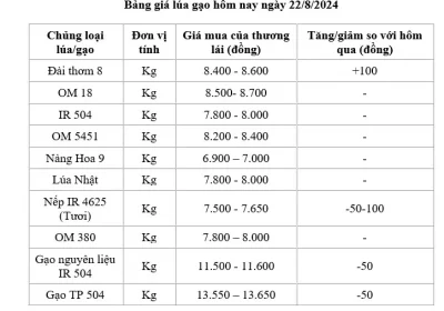 Giá lúa gạo  22/8/2024: Giá lúa tăng nhẹ ; giá gạo giảm 50 đồng/kg