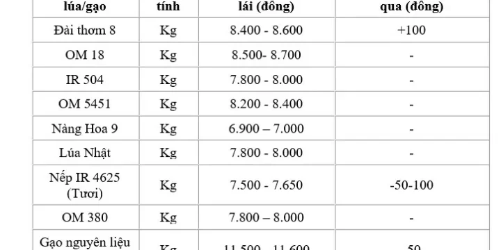 Giá lúa gạo  22/8/2024: Giá lúa tăng nhẹ ; giá gạo giảm 50 đồng/kg