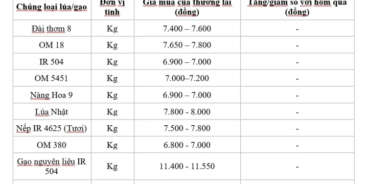 Giá lúa gạo ngày 11/8/2024: Giá lúa neo cao, giá gạo xuất khẩu ở mức cao