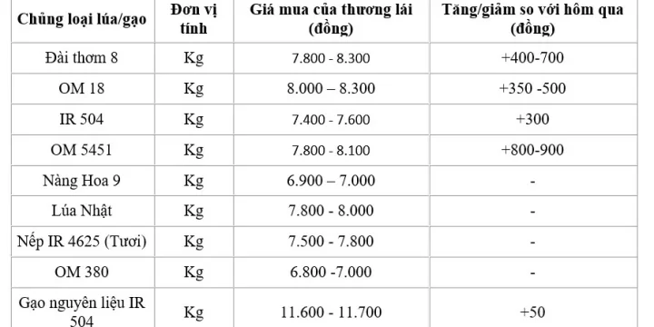 Giá lúa gạo ngày 13/8/2024: Giá lúa tăng từ 300 – 900 đồng/kg, giá gạo xuất khẩu neo cao