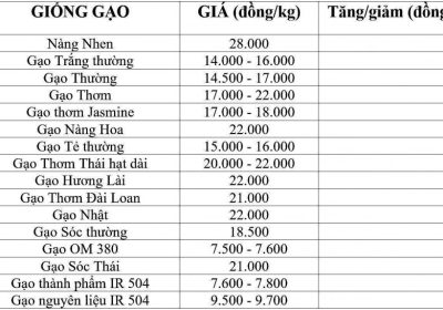 Giá lúa gạo hôm nay 31/1/2025: Các kho nghỉ Tết, giá lúa gạo đi ngang