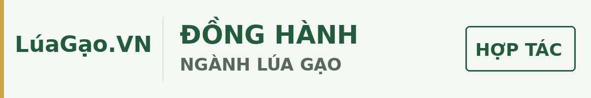 LúaGạo.VN – Đồng hành ngành lúa gạo. Liên hệ hợp tác quảng cáo và tài trợ.